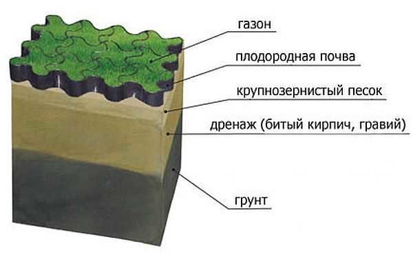 Как сделать газон: виды, подготовка, посадка, уход