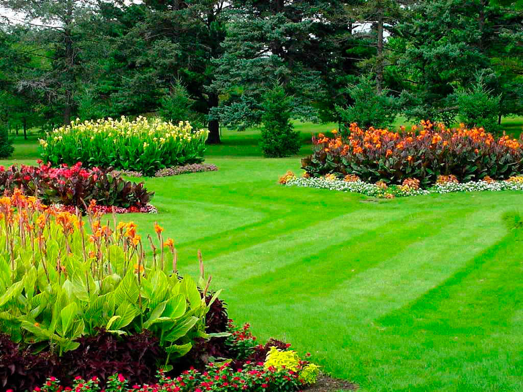 lawn_and_landscape