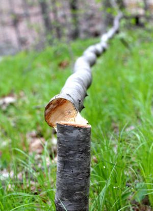 Этажерка для цветов из дерева своими руками1