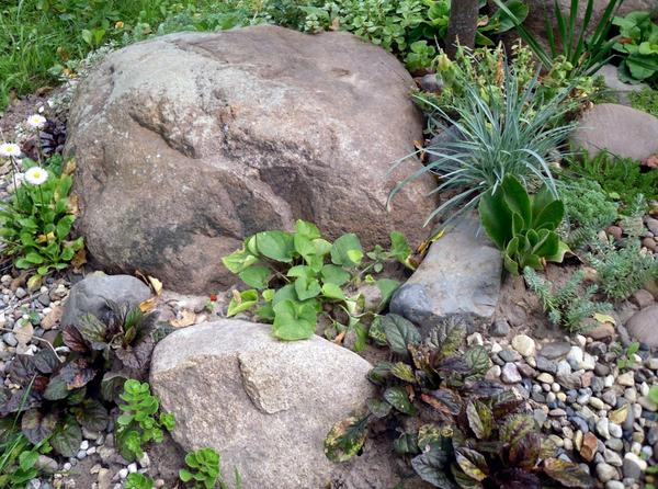 Что такое рокарий