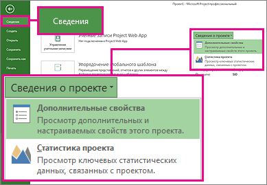 Меню "Сведения о проекте" с выделенным пунктом "Дополнительные свойства"