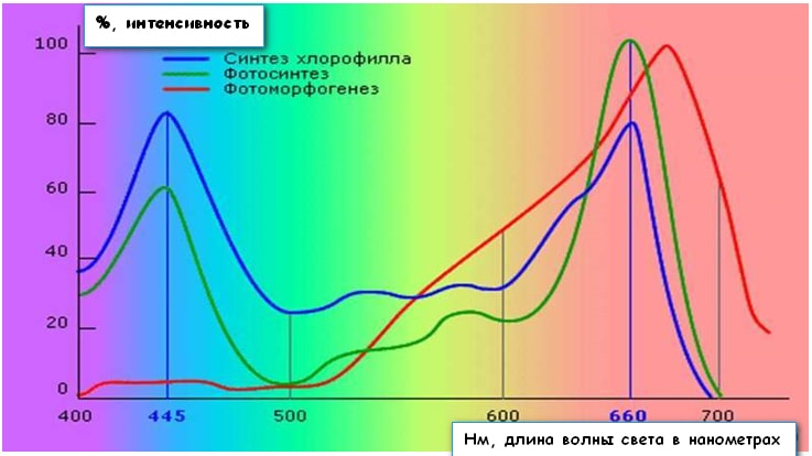 Интенсивность роста в зависимости от длины волны